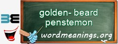 WordMeaning blackboard for golden-beard penstemon